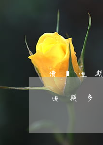 借唄逾期多久上征信?借唄逾期怎么辦-借唄逾期多久上征信?借唄逾期怎么辦啊