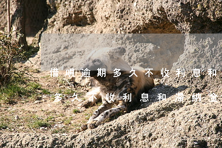借唄逾期多久不收利息和滯納金-借唄逾期多久不收利息和滯納金了