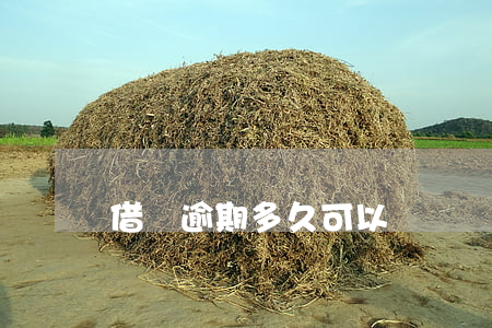 借唄逾期多久可以辦