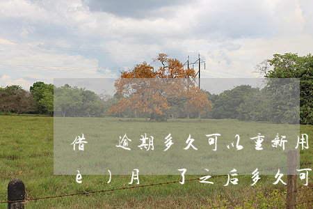 借唄逾期多久可以重新用(借唄逾期三個(gè)月還了之后多久可以再用)