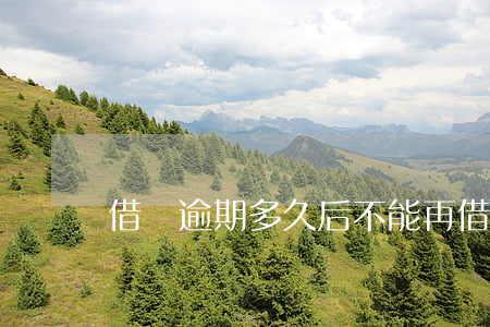 借唄逾期多久后不能再借(借唄能逾期幾天還)
