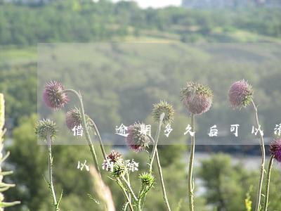 借唄逾期多久后可以清除(借唄逾期多久后可以清除)