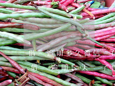 借唄逾期多久微信紅包就凍結(jié)了(借唄逾期5天還了但凍結(jié)了)