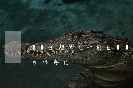 借唄逾期多久才能全額還款(借唄逾期了多久可以再借)