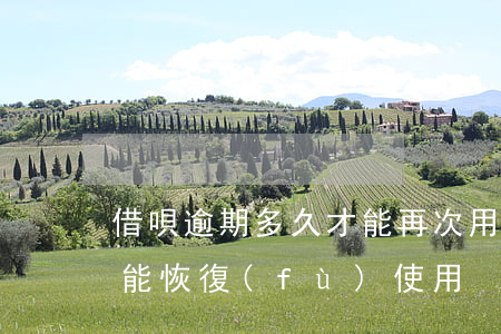 借唄逾期多久才能再次用(借唄逾期一次多久能恢復(fù)使用)