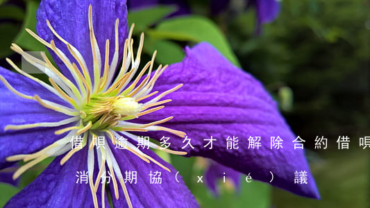借唄逾期多久才能解除合約(借唄逾期多久取消分期協(xié)議)