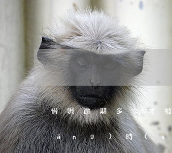 借唄逾期多久才被起訴(借唄逾期多長(zhǎng)時(shí)候逾期多少錢會(huì)被起訴)