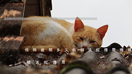 借唄逾期多久收到法院傳票(借唄多久不還會被法院傳票)