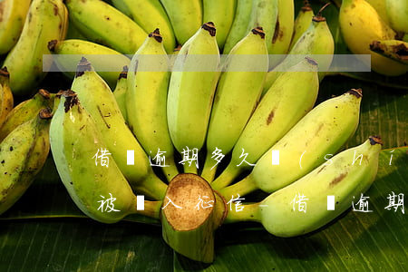 借唄逾期多久時(shí)間會(huì)被納入征信-借唄逾期多久時(shí)間會(huì)被納入征信記錄