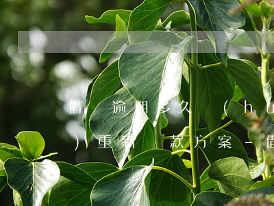 借唄逾期多久會(huì)出現(xiàn)重新還款方案-借唄逾期多久會(huì)出現(xiàn)重新還款方案呢