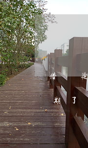 借唄逾期多久會(huì)影響出行(借唄逾期了多久有影響)