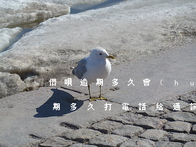 借唄逾期多久會(huì)打通訊錄(借唄逾期多久打電話給通訊錄)