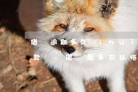 借唄逾期多久會(huì)打電話給家人催款嗎-借唄最多可以拖幾個(gè)月