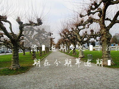 借唄逾期多久會(huì)收回分期(借唄逾期在分期算逾期嗎)