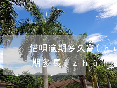 借唄逾期多久會(huì)減少信用(借唄逾期多長(zhǎng)時(shí)間影響信用)