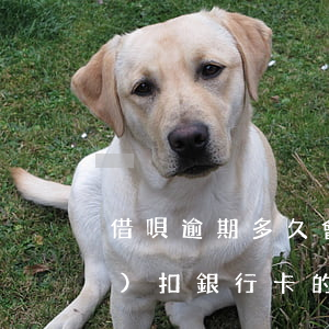 借唄逾期多久會(huì)自動(dòng)扣銀行卡的錢(qián)-借唄逾期多久會(huì)自動(dòng)扣銀行卡的錢(qián)了
