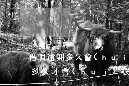 借唄逾期多久會(huì)被起訴嗎(借唄欠多久才會(huì)被起訴)