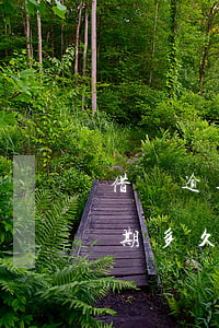 借唄逾期多久會(huì)被起訴嗎 借唄逾期多久會(huì)被起訴嗎
