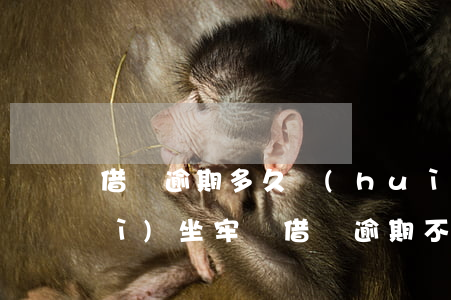 借唄逾期多久會(huì)被起訴會(huì)坐牢嗎(借唄逾期不還會(huì)不會(huì)坐牢)