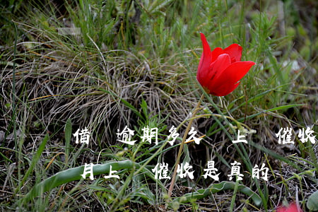 借唄逾期多久會上門催收(花唄借唄逾期兩個月上門催收是真的嗎)