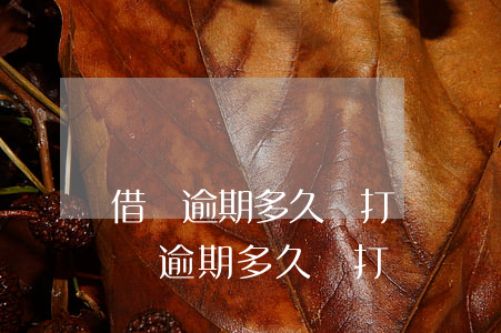 借唄逾期多久會打電話給通訊錄好友嗎-借唄逾期多久會打電話給通訊錄里的人
