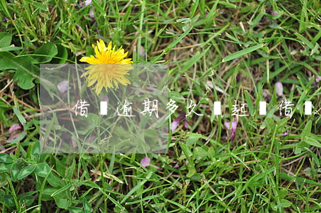 借唄逾期多久會起訴?（借唄逾期多久會走法律）