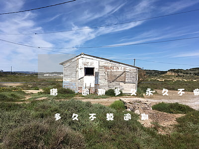 借唄逾期多久永久不恢復(fù)(借唄到期多久不算逾期)