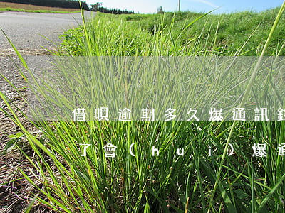 借唄逾期多久爆通訊錄2021(借唄要逾期了會(huì)爆通訊錄嗎)