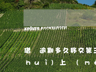 借唄逾期多久移交第三方(借唄逾期多久會(huì)上門(mén)調(diào)查)