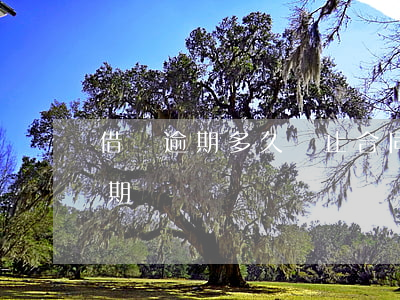 借唄逾期多久終止合同6(借唄幾天還款算逾期)