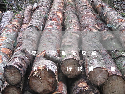 借唄逾期多久被強(qiáng)制執(zhí)行(被借唄起訴多久執(zhí)行)