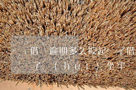 借唄逾期多久被起訴了 借唄逾期多久被起訴了會(huì)坐牢
