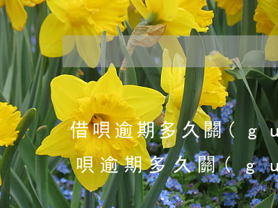 借唄逾期多久關(guān)閉支付寶-借唄逾期多久關(guān)閉支付寶還款