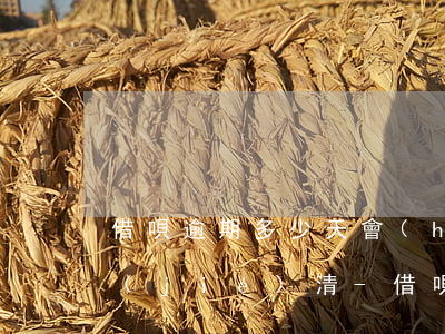 借唄逾期多少天會(huì)讓你一次性結(jié)清-借唄逾期多少天會(huì)讓你一次性結(jié)清