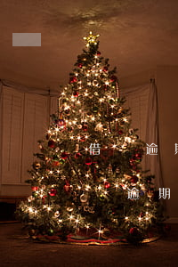 借唄逾期多少天會凍結(jié)信用卡(借唄逾期十幾天嚴(yán)重嗎)