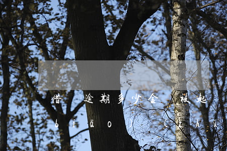 借唄逾期多少金額被起訴(借唄逾期起訴標(biāo)準(zhǔn))