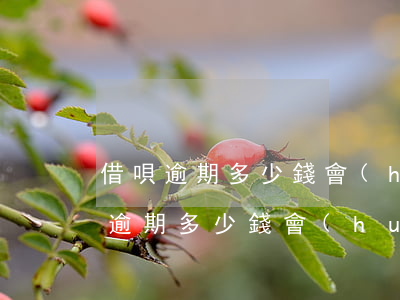借唄逾期多少錢會(huì)上門催收(借唄逾期多少錢會(huì)上門催收)