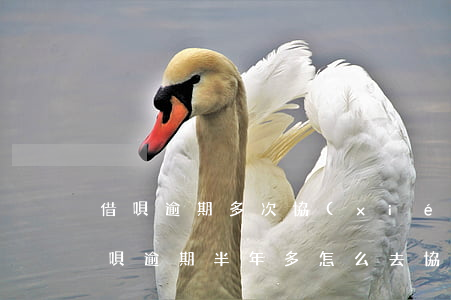 借唄逾期多次協(xié)商不成功(花唄借唄逾期半年多怎么去協(xié)商推遲還款)