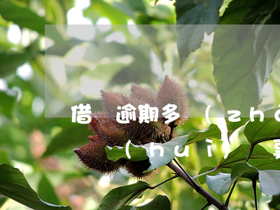 借唄逾期多長(zhǎng)時(shí)間會(huì)傳票(借唄逾期一天多久可以借出來)