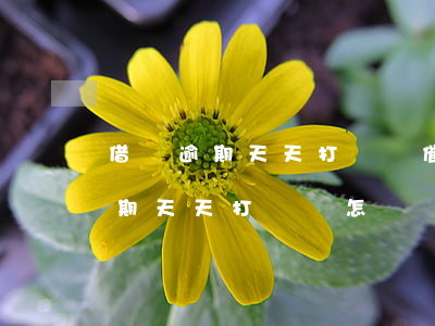 借唄逾期天天打電話催可以舉報嗎?-借唄逾期天天打電話怎辦