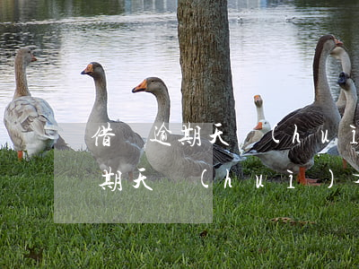 借唄逾期天會(huì)有什么后果(借唄逾期天會(huì)有什么后果)