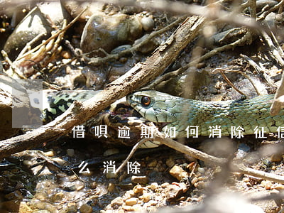 借唄逾期如何消除征信記錄(借唄逾期記錄怎么消除)