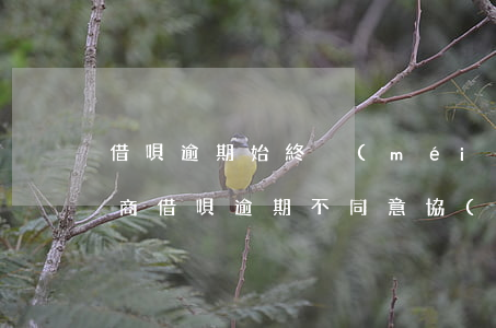 借唄逾期始終沒(méi)法協(xié)商(借唄逾期不同意協(xié)商怎么辦)
