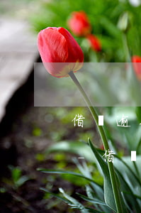 借唄逾期客服說重新制定還款計(jì)劃-借唄逾期客服說重新制定還款計(jì)劃是真的嗎