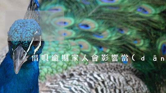 借唄逾期家人會影響當(dāng)兵嗎