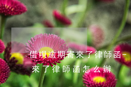 借唄逾期寄來了律師函-借唄跟花唄逾期寄來了律師函怎么辦