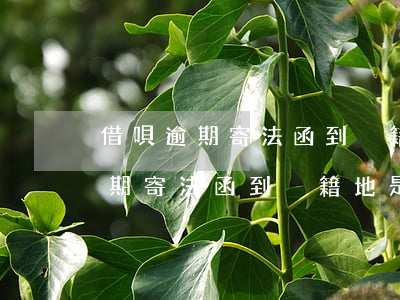 借唄逾期寄法函到戶籍地是真的嗎-借唄逾期寄法函到戶籍地是真的嗎嗎