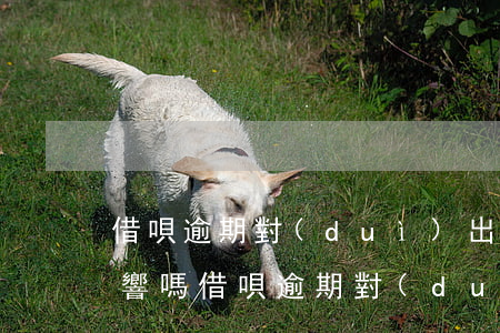 借唄逾期對(duì)出國(guó)有影響嗎(借唄逾期對(duì)孩子上大學(xué)有影響嗎)