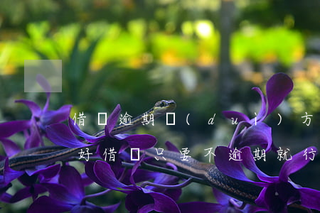 借唄逾期對(duì)方語(yǔ)氣都不好(借唄只要不逾期就行吧)