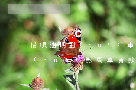 借唄逾期對(duì)車貸有影響嗎(借唄會(huì)影響車貸款嗎)